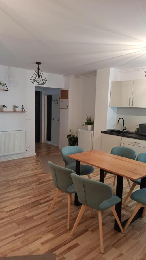 Apartament Chrysanthemum Sighișoara Zewnętrze zdjęcie
