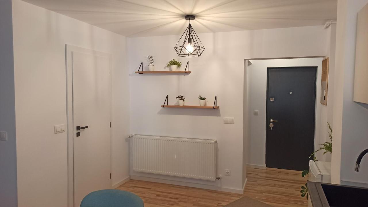 Apartament Chrysanthemum Sighișoara Zewnętrze zdjęcie